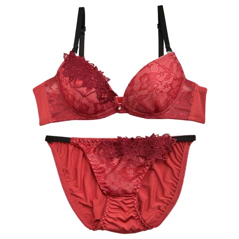 【EFサイズ】エレガンスフラワーレースブラジャー＆フルバックショーツ(レッド-E70/ショーツM)