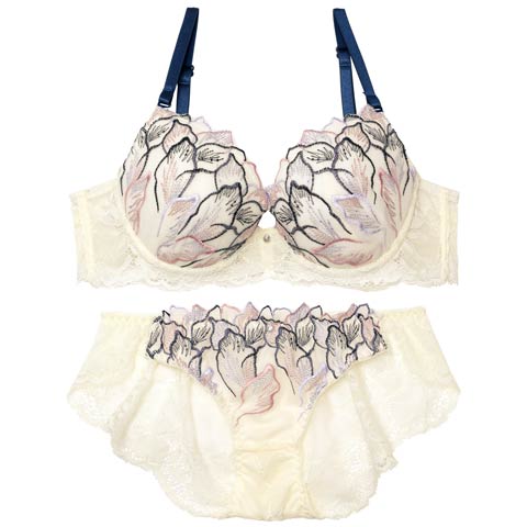 6/21再販!【EFサイズ】フローラルシックエンブロイダリーブラジャー&バック透けフルバックショーツ[推し](オフホワイト-E70/ショーツM)