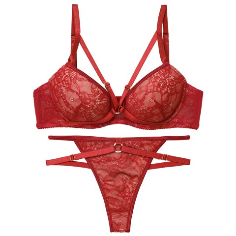 3/13新作!【Tバック】ドラマティックコードレースブラジャー&バック透けTバックショーツ[推し][人気](レッド-B65/ショーツM)