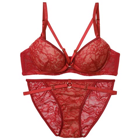 3/13新作!【EFサイズ】ドラマティックコードレースブラジャー&バック透けフルバックショーツ[推し](レッド-E70/ショーツM)