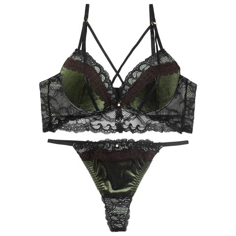 11/12新作!【Tバック】ノーブルベロアコードブラジャー&バック透けTバックショーツ[推し][人気](グリーン-A70/ショーツM)