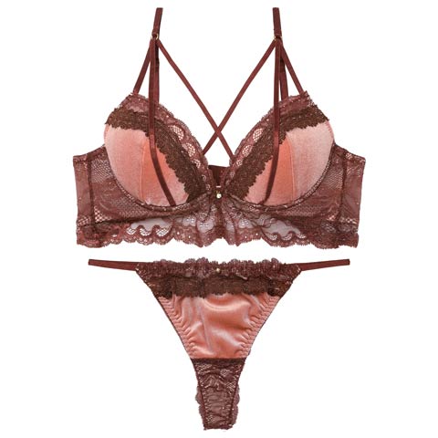 11/12新作!【Tバック】ノーブルベロアコードブラジャー&バック透けTバックショーツ[推し][人気](ピンク-A70/ショーツM)