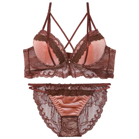 11/12新作!【EFサイズ】ノーブルベロアコードブラジャー&バック透けフルバックショーツ[推し](ピンク-E70/ショーツM)