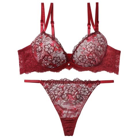 12/17新作!【Tバック】ルミエールディープフラワーブラジャー&バック透けTバックショーツ[推し][人気](レッド-A70/ショーツM)