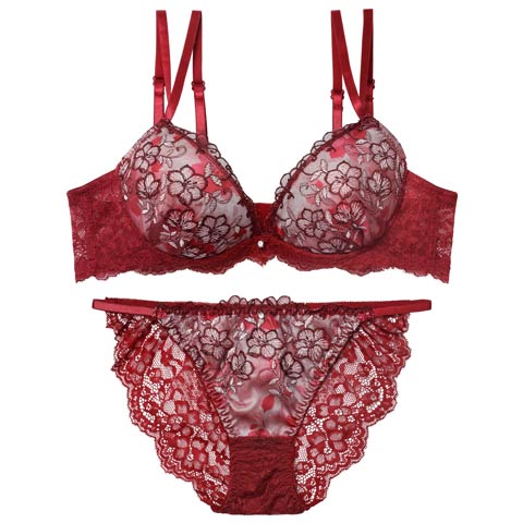 11/14新作!【EFサイズ】ルミエールディープフラワーブラジャー&バック透けフルバックショーツ[推し](レッド-E70/ショーツM)