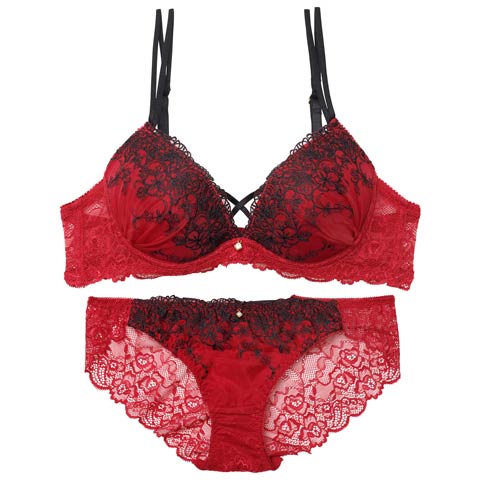 10/22新作!ディープクロスエンブロイダリーブラジャー&バック透けフルバックショーツ[推し][人気](レッド-B65/ショーツM)