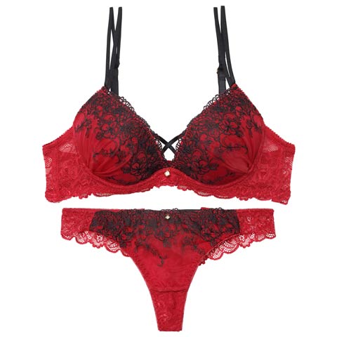 1/23新作!【Tバック】ディープクロスエンブロイダリーブラジャー&バック透けTバックショーツ[推し][人気](レッド-B65/ショーツM)