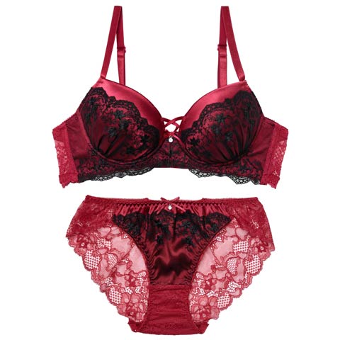 11/21新作!グリッターベロアレーシィブラジャー&バック透けフルバックショーツ[推し][人気](ワインレッド-B65/ショーツM)