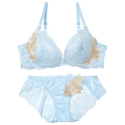 3/23新作!【EFサイズ】ラグジュアリーブルームレースブラジャー&バック透けフルバックショーツ[推し](サックス-E70/ショーツM)