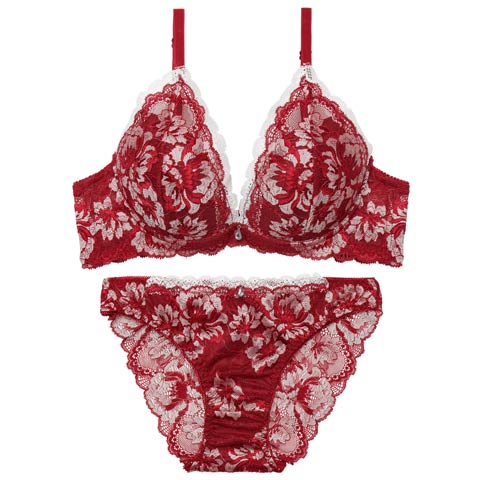 3/27新作!【EFサイズ】グラマラスフラワーレース育乳脇高ブラジャー&バック透けフルバックショーツ[推し](レッド-E70/ショーツM)