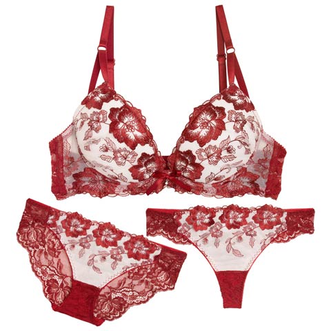 11/5新作!【3点セット】ベルフルールエンブロイダリーブラジャー&バック透けフルバック&Tバックショーツ[推し](ワインレッド-B65/ショーツM)