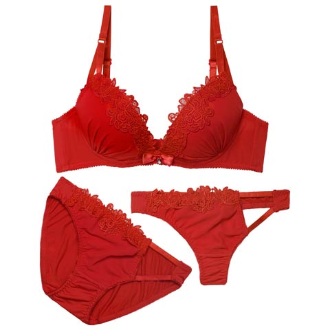 11/12新作!【3点セット】【EFサイズ】フルールケミカルレースブラジャー&フルバック&Tバックショーツ[推し](レッド-E65/ショーツM)