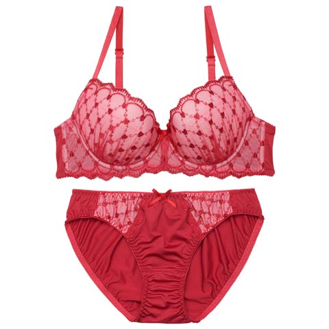 1/16新作!【EFサイズ】スウィートハートチャーミーブラジャー＆フルバックショーツ(ワインレッド-E65/ショーツM)