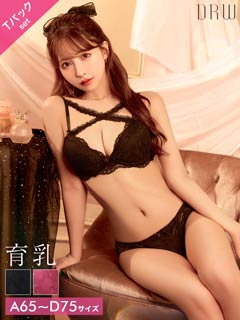 9/3新作!【Tバック】【三上悠亜着用】ロマンティックレーシィクロス育乳脇高ブラジャー&バック透けTバックショーツ[推し][人気]