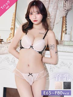 4/22新作!【EFサイズ】【Tバック】スピンドルリボンレース育乳脇高ブラジャー&バック透けTバックショーツ[推し]