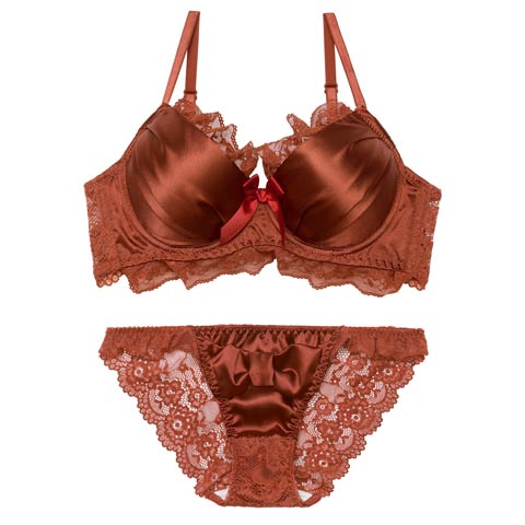 1/26新作!ロマンティックリボンサテン育乳脇高ブラジャー＆バック透けフルバックショーツ[推し][人気](ブラウン-A65/ショーツM)