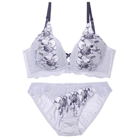 2/2新作!【EFサイズ】グレースクロスフラワー育乳脇高ブラジャー&フルバックショーツ[推し](ライトグレー-E70/ショーツM)