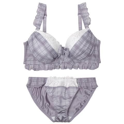 11/12新作!【EFサイズ】シュクレチェックシフォンブラジャー&フルバックショーツ[推し](ブルーグレー-E70/ショーツM)