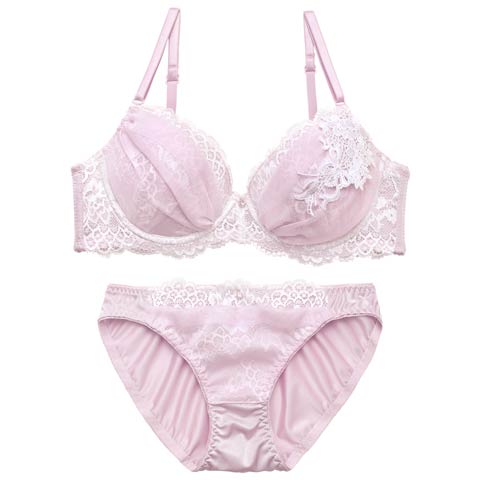 4/29新作!エレガンスチュールブーケブラジャー&フルバックショーツ[推し][人気](ダスティピンク-A70/ショーツM)