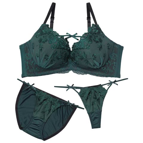 12/24新作!【3点セット】【EFサイズ】ディープローズリボンコード育乳脇高ブラジャー&フルバック&Tバックショーツ[推し](グリーン-E65/ショーツM)