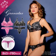 10/28新作!【granatus】フロントクロスレースブラジャー&バック透けTバックショーツ