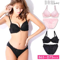 d.i.a - はーとホールセクシーブラウス Lovelyハートブラジャー＆フルバックショーツの通販はdazzystore