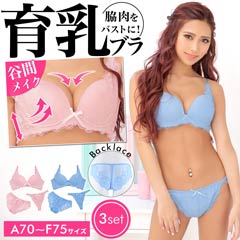 6/3新作!【3点セット】フェミニレース育乳脇高ブラジャー&バック透けフルバック&Tバックショーツ