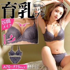 クラシカルレース育乳脇高ブラジャー&フルバックショーツ