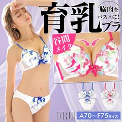 8/7新作!フラワーガーデン刺繍育乳脇高ブラジャーブラジャー&フルバックショーツ