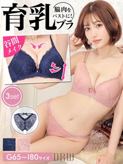 楽天市場】G65-I85【2点セット】 下着 ランジェリー レディース