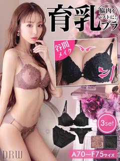 【3点セット】フラワーカッティング育乳脇高ブラジャー&フルバック&Tバックショーツ