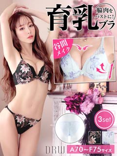 3点セット】リリーエンブロイダリー育乳脇高ブラジャー&バック
