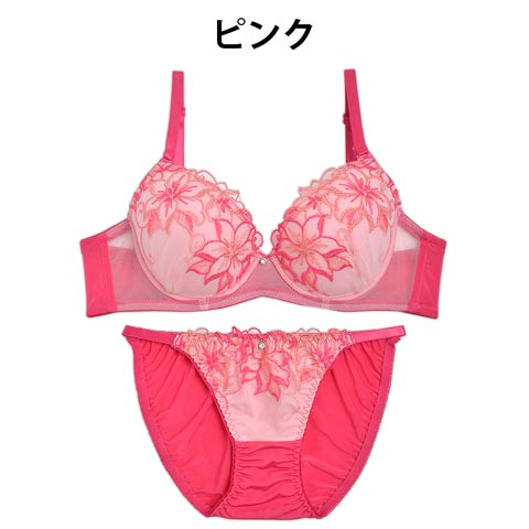 【EFサイズ】リゾートフラワー刺繍ブラジャー&フルバックショーツ(ピンク-E70/ショーツM)