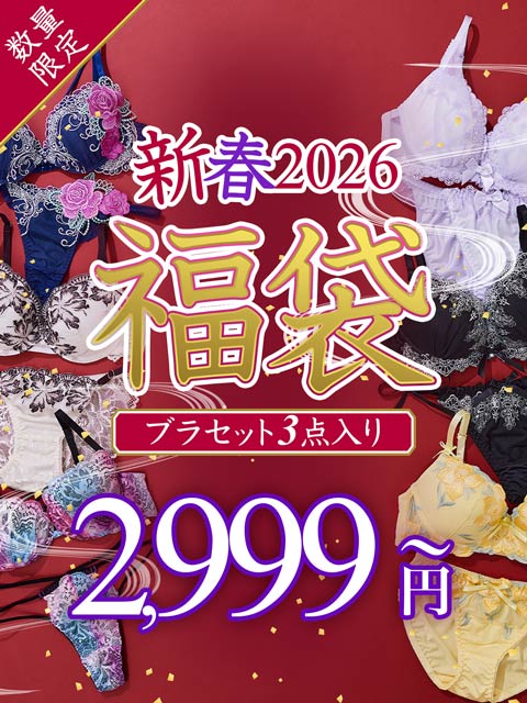 【予約※1月初旬より順次発送】12/4再販!【福袋★ブラセット3点入】ブラジャー＆ショーツ3点組入り福袋[推し]
