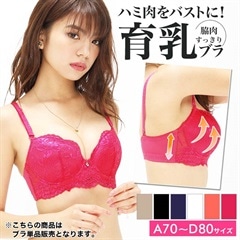 総レース脇高ブラジャー