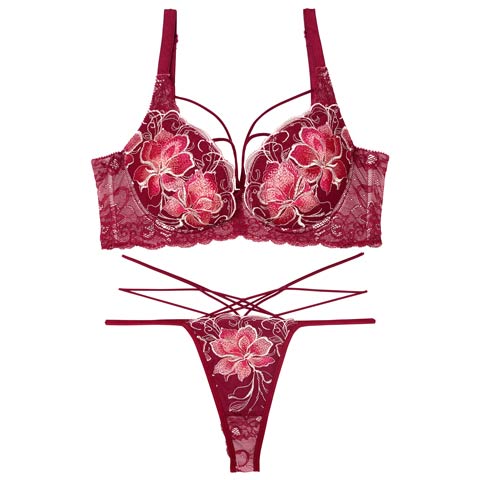 8/9再販!【Tバック】【Reinest】【永尾まりや着用】エターナルディープフラワー育乳★魔法のブラジャー&バック透けTバックショーツ[推し](ルージュバーガンディ-A65/ショーツM)
