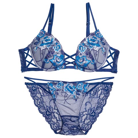 11/3新作!【Reinest】リュクスピオニークロスブラジャー&バック透けフルバックショーツ[推し](ネイビー-A65/ショーツM)