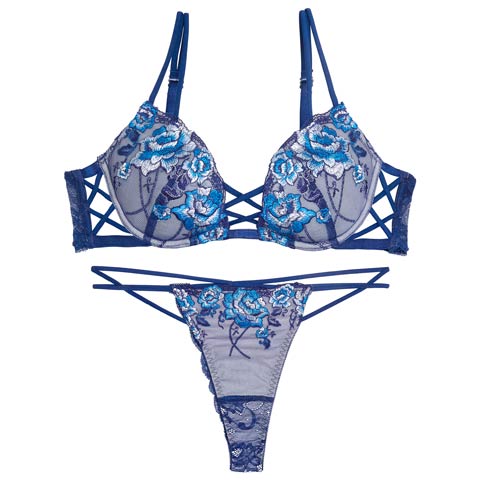 11/3新作!【Tバック】【Reinest】リュクスピオニークロスブラジャー&バック透けTバックショーツ[推し](ネイビー-A65/ショーツM)