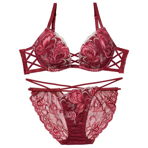 12/12新作!【Reinest】バタフリークロスアップブラジャー＆バック透けフルバックショーツ[推し](ボルドー-A65/ショーツM)