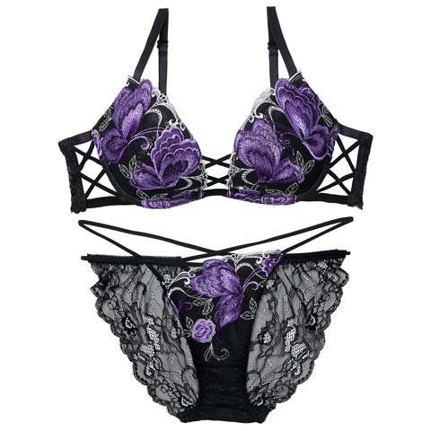 12/12新作!【Reinest】バタフリークロスアップブラジャー＆バック透けフルバックショーツ[推し](ブラック-A65/ショーツM)