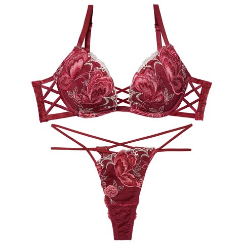 12/12新作!【Tバック】【Reinest】バタフリークロスアップブラジャー＆バック透けTバックショーツ[推し](ボルドー-A65/ショーツM)