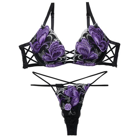 12/12新作!【Tバック】【Reinest】バタフリークロスアップブラジャー＆バック透けTバックショーツ[推し](ブラック-A65/ショーツM)