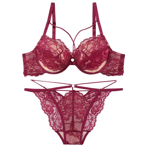 2/13新作!【Reinest】アグレアーブルレースコードブラジャー&バック透けフルバックショーツ[推し](ワイン-A65/ショーツM)