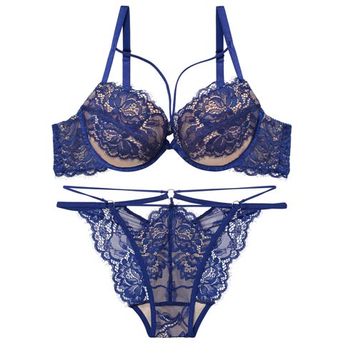 2/13新作!【Reinest】アグレアーブルレースコードブラジャー&バック透けフルバックショーツ[推し](ブルー-A65/ショーツM)