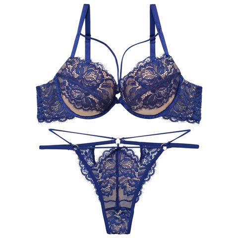 2/13新作!【Tバック】【Reinest】アグレアーブルレースコードブラジャー&バック透けTバックショーツ[推し](ブルー-A65/ショーツM)