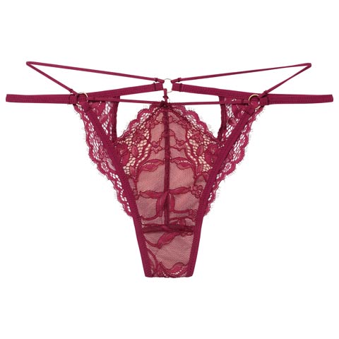 2/13新作!【Reinest】アグレアーブルレースコードバック透け選べるショーツ[おそろいショーツ](ワイン/Tバック-M)