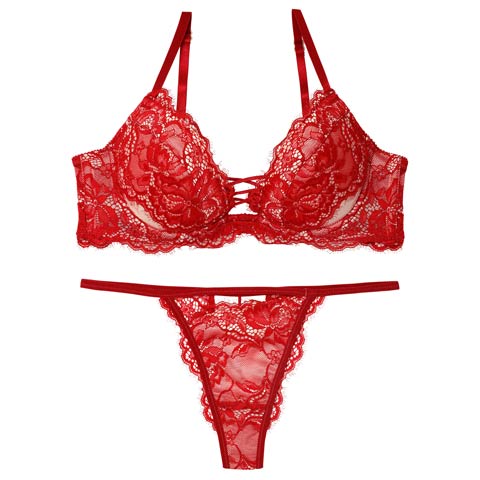 10/16再販!【Tバック】【Reinest】ラグジュアリースピンドルレースブラジャー&バック透けTバックショーツ[推し](レッド-A65/ショーツM)