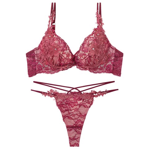 11/12新作!【Tバック】【Reinest】ロイヤルブルームレースブラジャー&バック透けTバックショーツ[推し](ボルドー-A65/ショーツM)