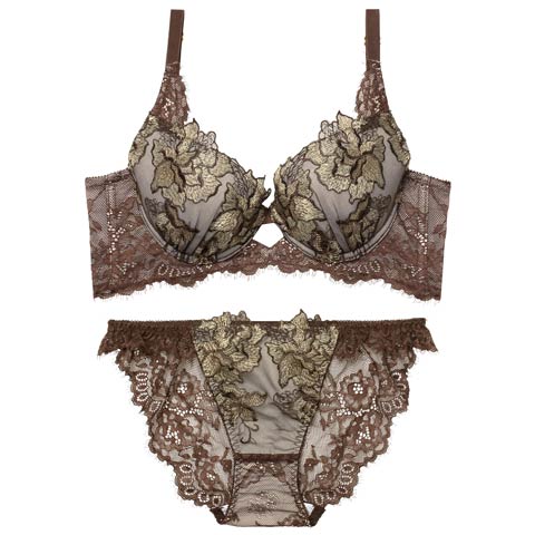 12/19新作!【Reinest】シャルムローズレース育乳脇高★魔法のブラジャー&バック透けフルバックショーツ[推し](ブラウン-A65/ショーツM)