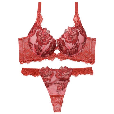 12/19新作!【Tバック】【Reinest】シャルムローズレース育乳脇高★魔法のブラジャー&バック透けTバックショーツ[推し](レッド-A65/ショーツM)